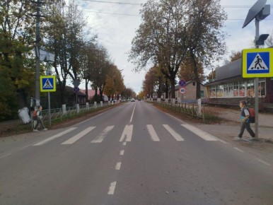 В Псковской области на пешеходных переходах появились муляжи детей, переходящих дорогу
