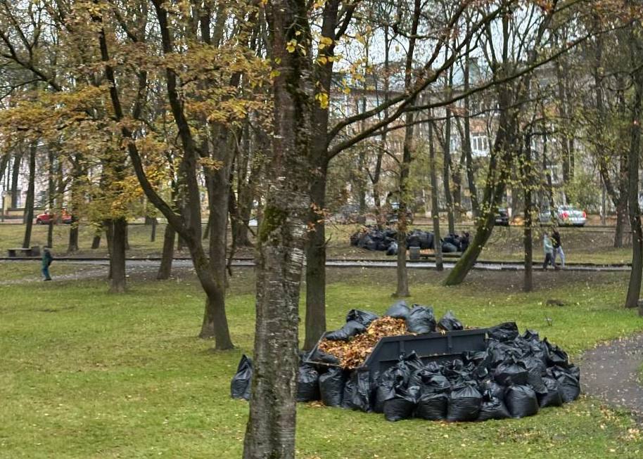 Избирательная комиссия Псковской области приняла участие в субботнике Избирательная комиссия Псковской области приняла участие в субботнике