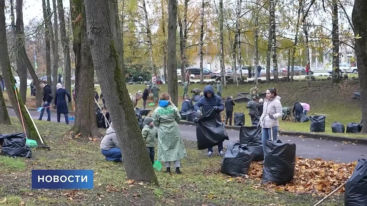Чистота, порядок, единение
