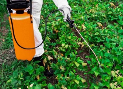 Польза гербицидов: что важно знать садоводам