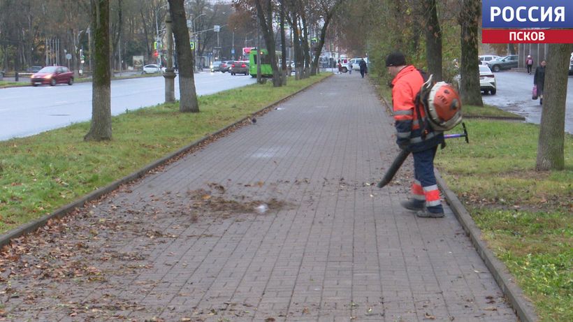 Больше половины центральных улиц Пскова убраны от опавшей листвы Больше половины центральных улиц Пскова убраны от опавшей листвы