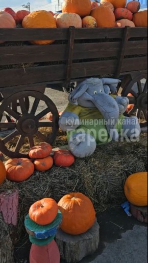 Как свежевыжатый сок может укрепить иммунитет в сезон простуд