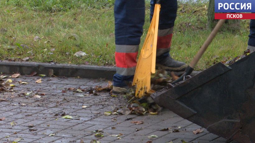 Больше половины центральных улиц Пскова убраны от опавшей листвы Больше половины центральных улиц Пскова убраны от опавшей листвы