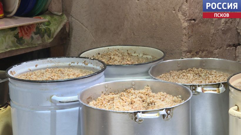 Псковский приют "Лесопилка" в бедственном положении Псковский приют "Лесопилка" в бедственном положении
