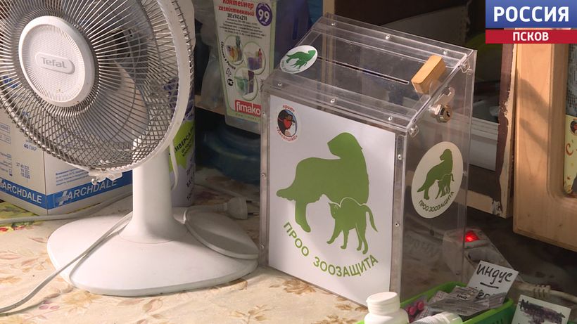 Псковский приют "Лесопилка" в бедственном положении Псковский приют "Лесопилка" в бедственном положении