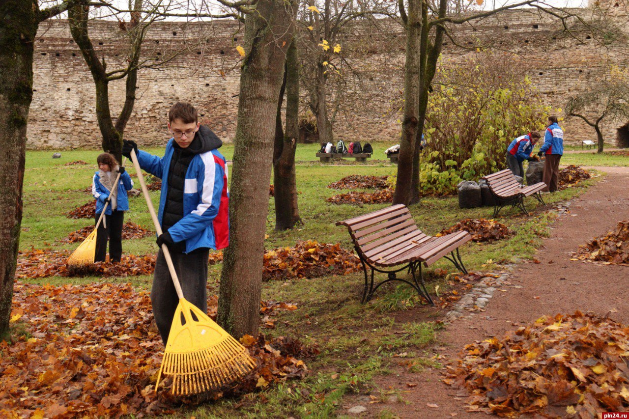 Псковские школьники собрали 150 мешков листьев в Изборской крепости Псковские школьники собрали 150 мешков листьев в Изборской крепости