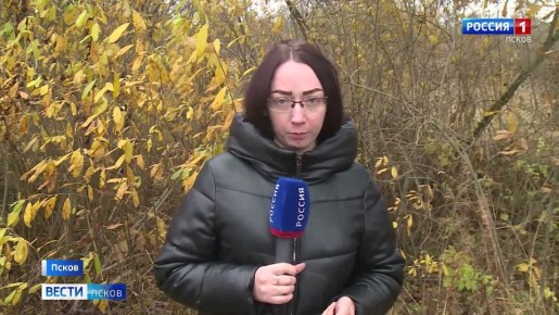 Псковский приют "Лесопилка" в бедственном положении