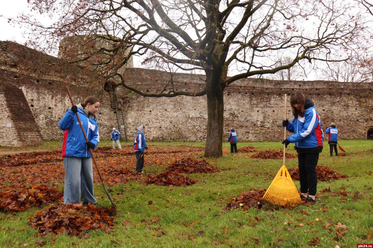 Псковские школьники собрали 150 мешков листьев в Изборской крепости Псковские школьники собрали 150 мешков листьев в Изборской крепости