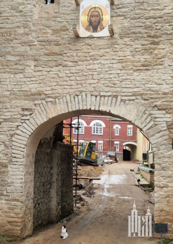   !.       ! :   () / - 