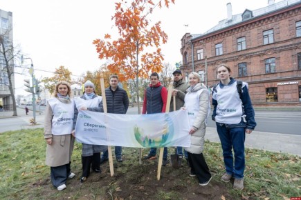 Чтобы город дышал: Сбер озеленил улицу Некрасова в Пскове