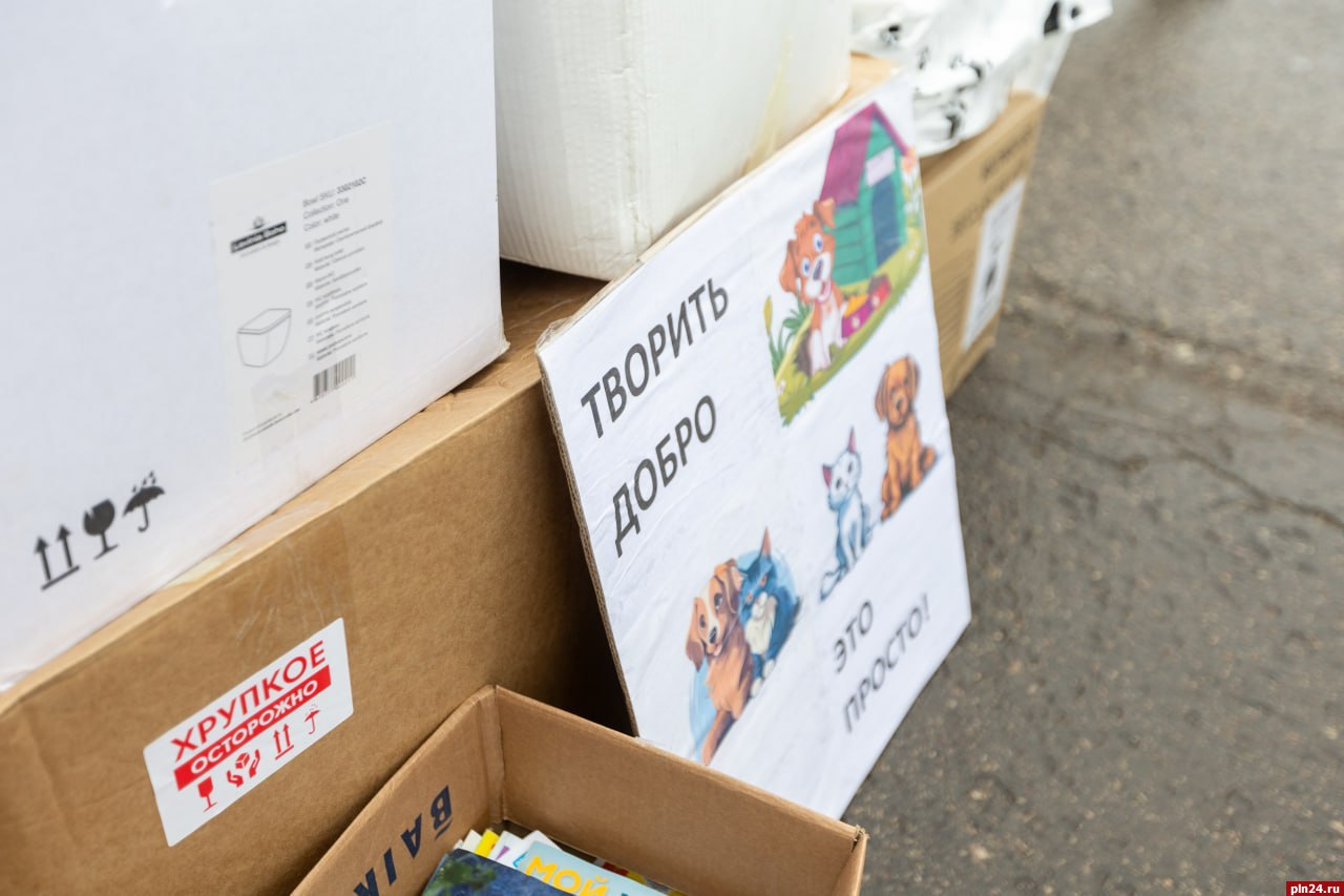 Более 3,5 тонн макулатуры собрали псковичи в рамках акции «Вторсырье в помощь животным» Более 3,5 тонн макулатуры собрали псковичи в рамках акции «Вторсырье в помощь животным»