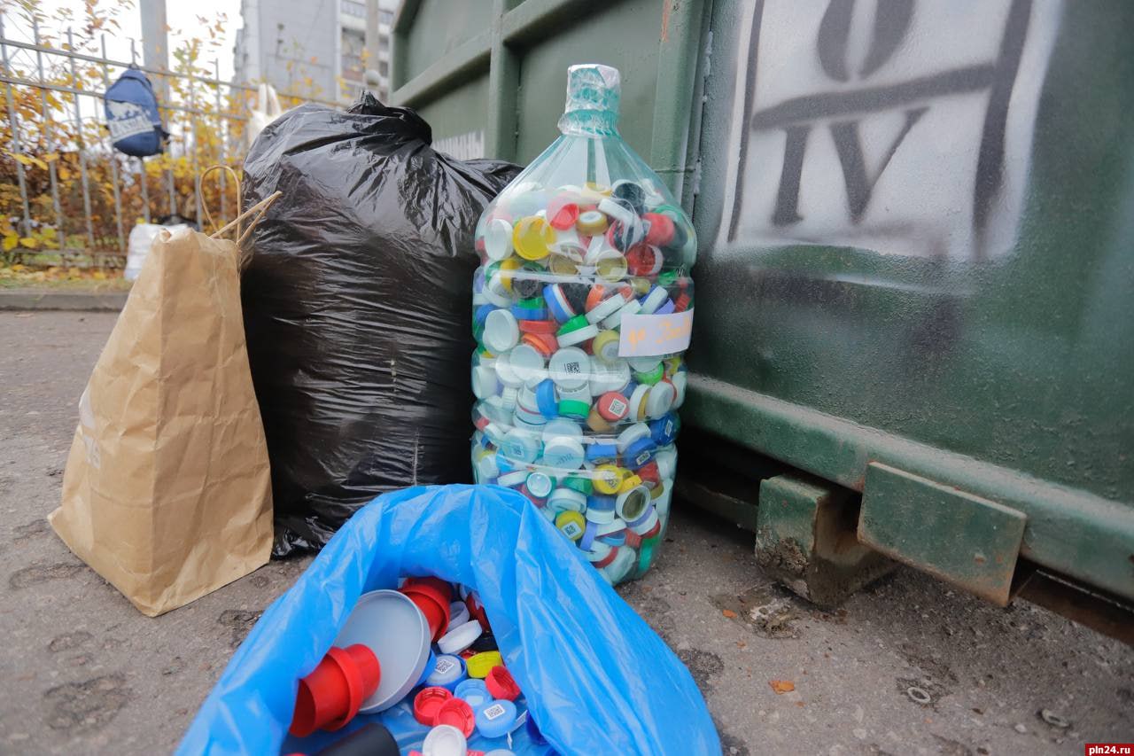 Более 3,5 тонн макулатуры собрали псковичи в рамках акции «Вторсырье в помощь животным»