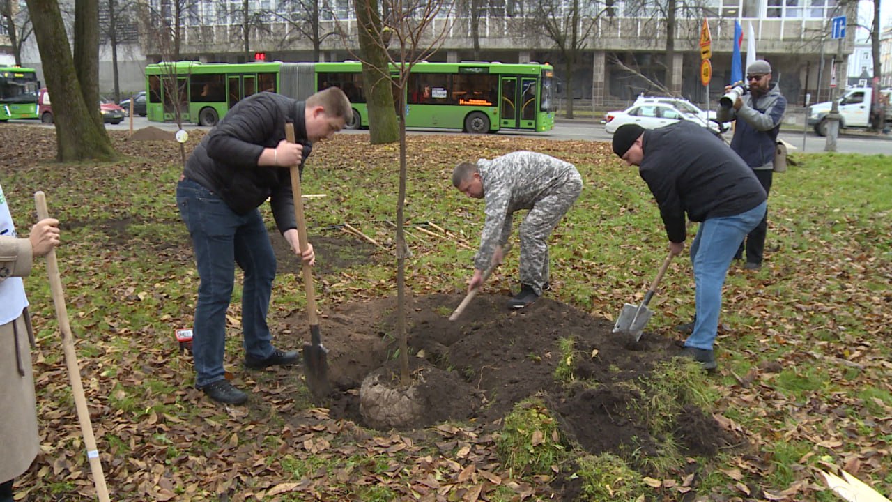 Молодые деревья высадили сегодня в Пскове сотрудники Сбера и волонтеры Молодые деревья высадили сегодня в Пскове сотрудники Сбера и волонтеры