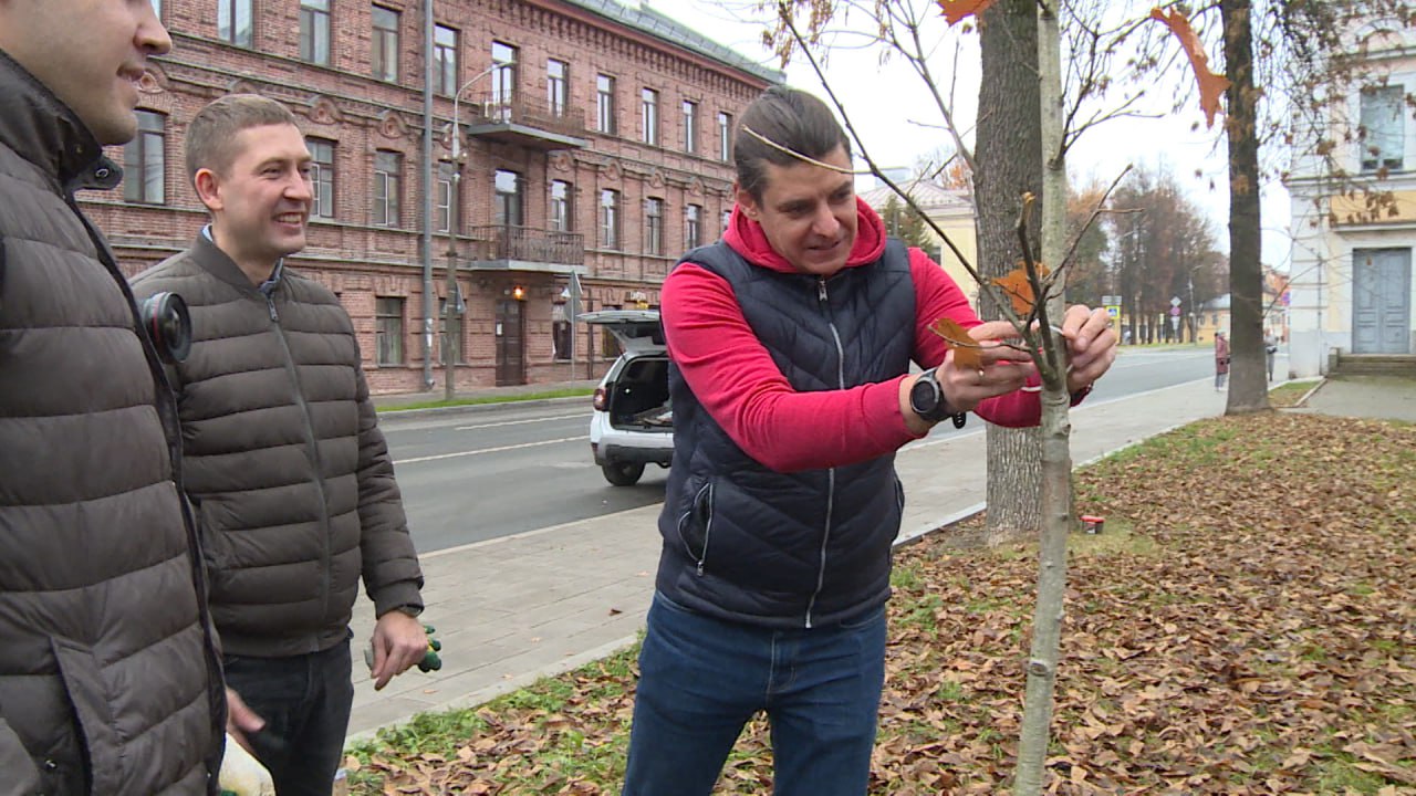 Молодые деревья высадили сегодня в Пскове сотрудники Сбера и волонтеры Молодые деревья высадили сегодня в Пскове сотрудники Сбера и волонтеры