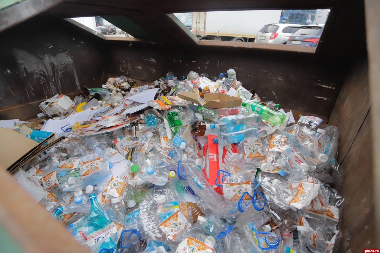 Более 3,5 тонн макулатуры собрали псковичи в рамках акции «Вторсырье в помощь животным» Более 3,5 тонн макулатуры собрали псковичи в рамках акции «Вторсырье в помощь животным»