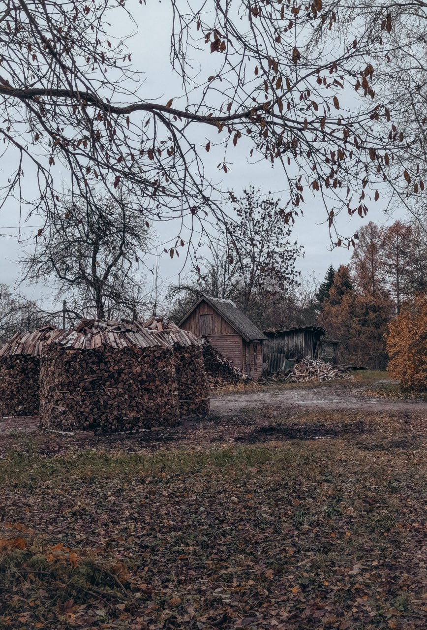 31 октября в Псковской области ожидается облачная, днем с прояснениями погода 31 октября в Псковской области ожидается облачная, днем с прояснениями погода