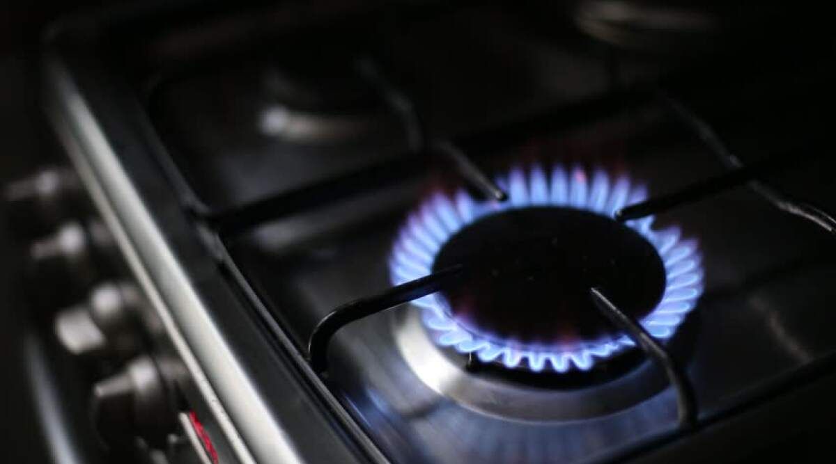 Более 7 тысяч домовладений Псковской области подключены к газу в рамках догазификации