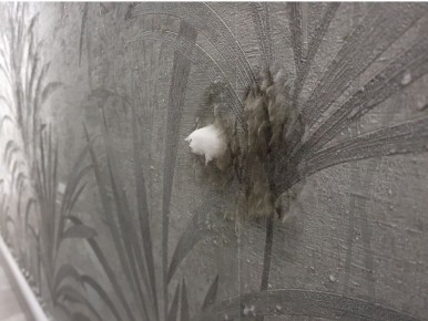 Как справиться с плесенью в новом доме: Советы по устранению проблемы