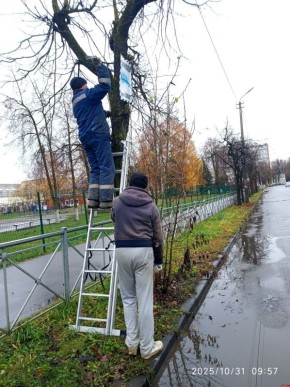 В Пскове убрали незаконные вывески