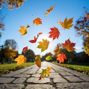 1 ноября 2025 года в народном календаре — Иванов день, связанный с памятью преподобного Иоанна Рыльского