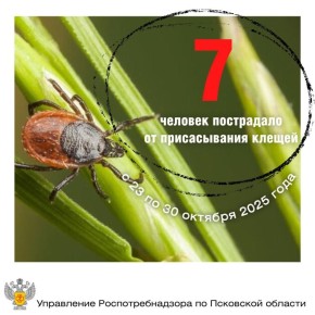 Несмотря на то, что лето давно закончилось, клещи остаются активными и могут представлять опасность до первых заморозков