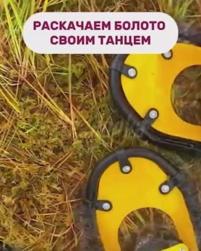 Россияне и белорусы отдыхают на болотах — новый вид досуга вирусится в соцсетях