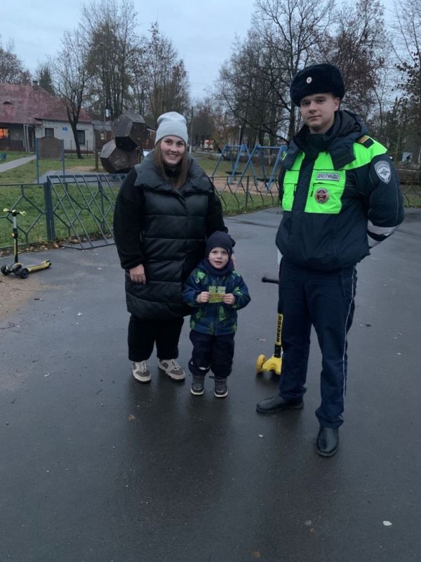  31   04  2025         - ,       