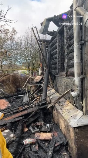 Подробности пожара с 12-ю погибшими собаками на улице Шоссейной в Пскове