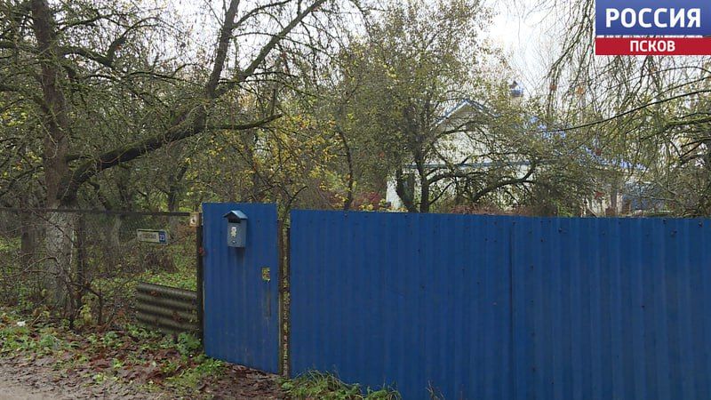 Десять собак спасли волонтеры приюта "Шанс" из дома в деревне Корытово