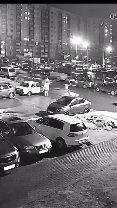 Шпица выбросили из окна на улице Владимирской в псковской деревне Родина