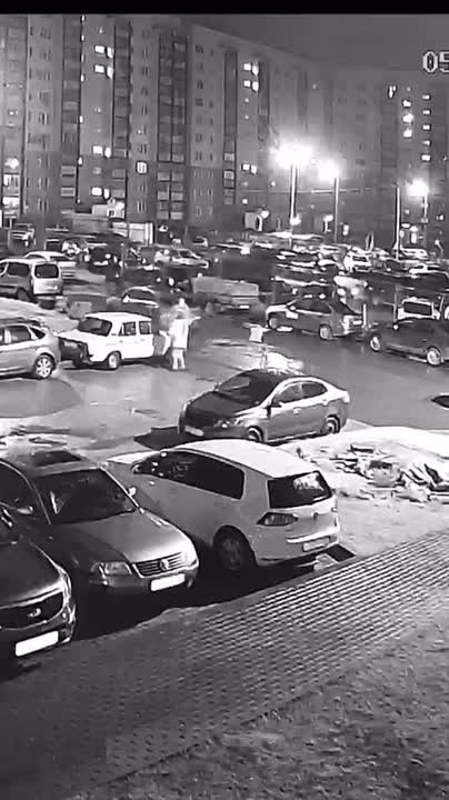 Шпица выбросили из окна на улице Владимирской в псковской деревне Родина