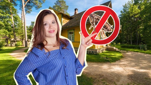 Блохи в ваш дом даже не сунутся: вот что мигом отпугнет паразитов