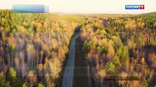 Прогноз погоды в Псковской области на 7 ноября