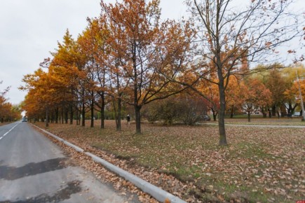 До +12 градусов прогнозируют в Псковской области 6 ноября
