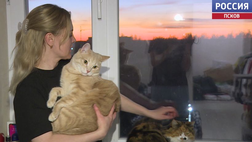 В Псков продолжают переезжать соотечественники из других стран В Псков продолжают переезжать соотечественники из других стран