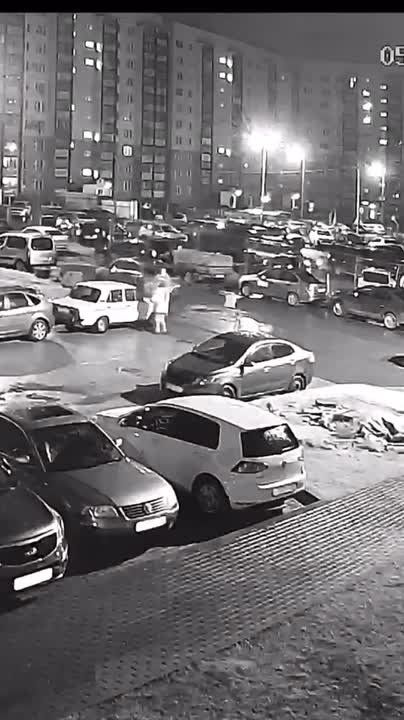 Стало известно, кто выбросил шпица из окна в псковской деревне Родина