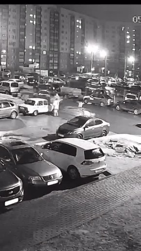 Стало известно, кто выбросил шпица из окна в псковской деревне Родина