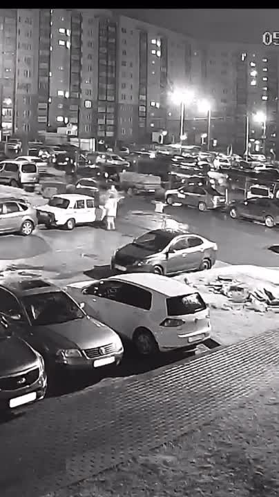 Стало известно, кто выбросил шпица из окна в псковской деревне Родина