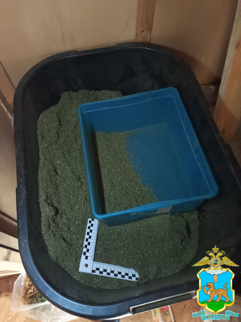 Псковские полицейские изъяли более 30 килограммов наркотиков Псковские полицейские изъяли более 30 килограммов наркотиков