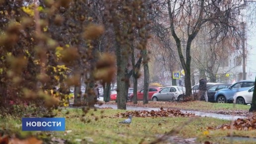 Аномальное тепло в Псковской области подходит к концу