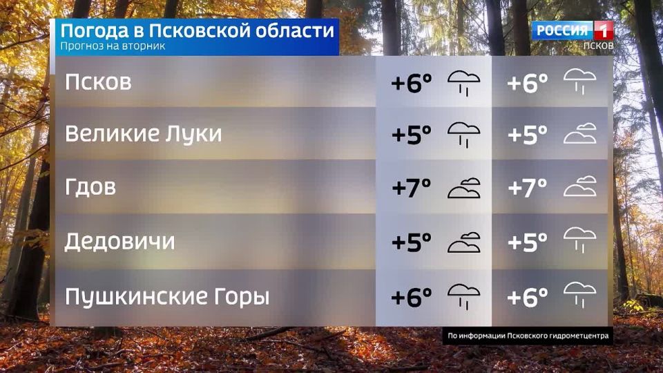 Прогноз погоды в Псковской области на 11 ноября
