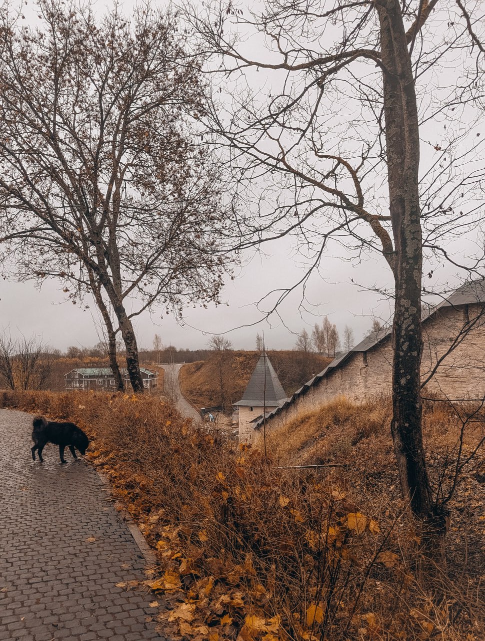 12 ноября в Псковской области ожидается облачная погода без существенных осадков 12 ноября в Псковской области ожидается облачная погода без существенных осадков