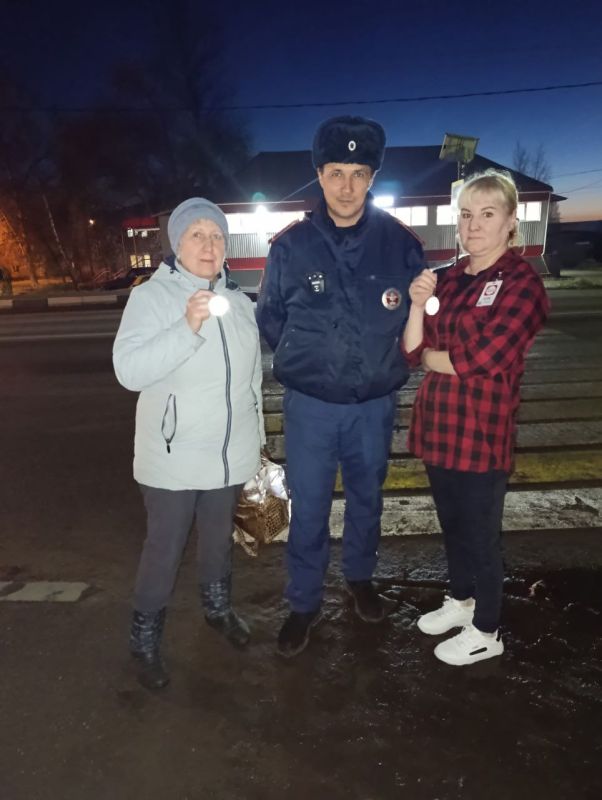 В целях повышения безопасности на дорогах, сотрудники Госавтоинспекции МО МВД России "Бежаницкий" провели профилактическую акцию «Засветись», направленную на популяризацию использования световозвращающих элементов среди...