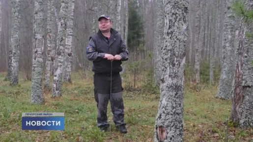 Поисковики обнаружили гильзу с посланиями на неизвестном языке в Печорском районе