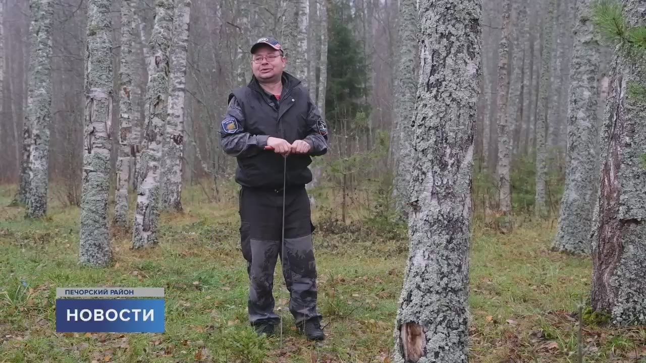 Поисковики обнаружили гильзу с посланиями на неизвестном языке в Печорском районе