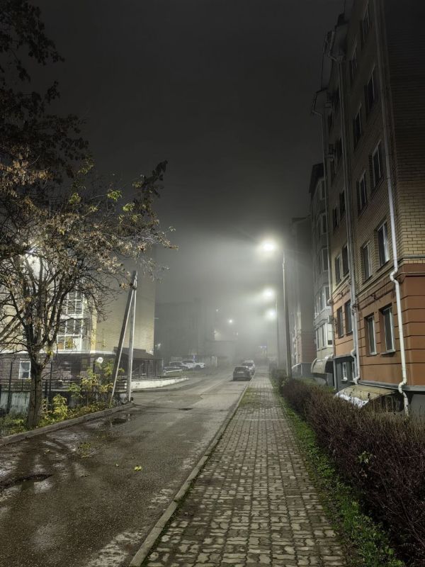 Туман и до +7 градусов прогнозируют в Псковской области 12 ноября