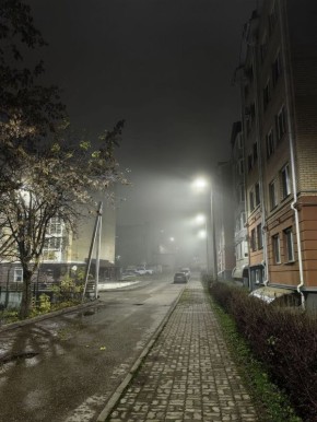 Туман и до +7 градусов прогнозируют в Псковской области 12 ноября