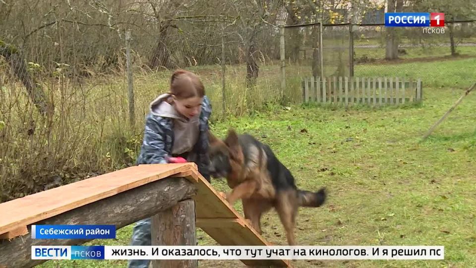 Студенты из самых разных регионов страны едут в небольшой поселок Идрица, чтобы получить там профессию