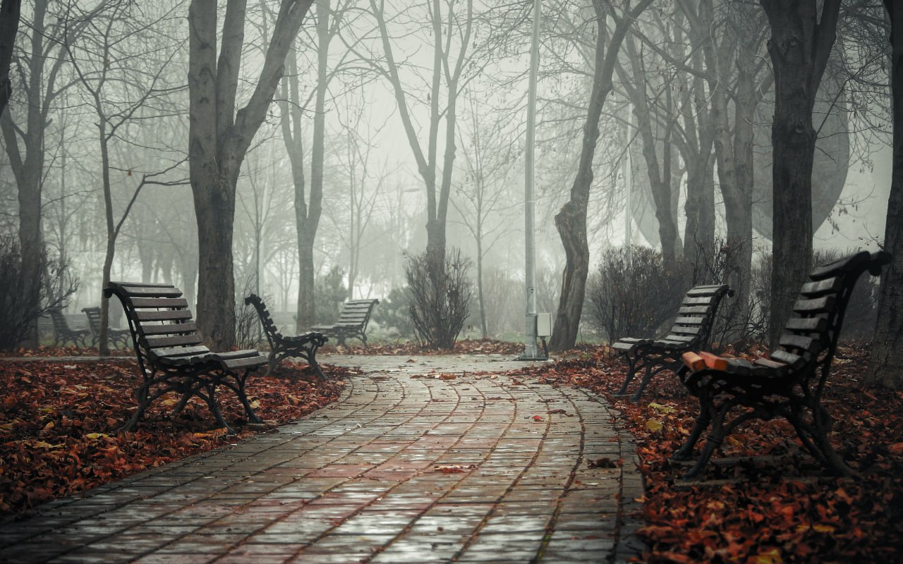 До +10 прогнозируется в Псковской области 13 ноября