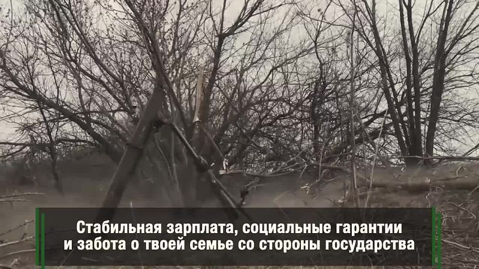 Служба Родине — это возможность проявить свою силу!